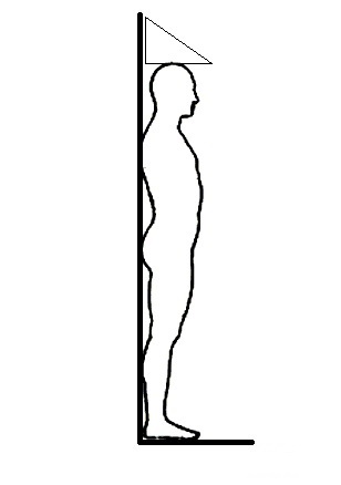 Height body